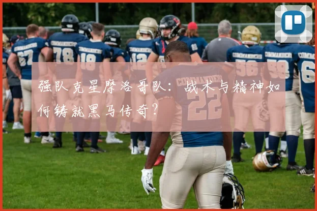 强队克星摩洛哥队：战术与精神如何铸就黑马传奇？
